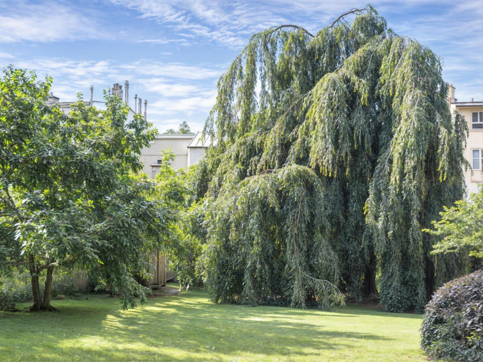 L'Orangerie White Palacio Версал Екстериор снимка